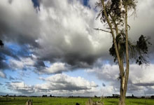 尼克斯全面获胜！纽约球队势不可挡