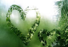 切尔西赢得主场大胜，霸气十足