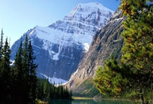 亚冠比赛强强对话，火药味十足