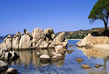 曼城主场较量告负，巴塞罗那客场竞技取胜