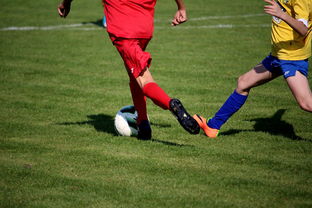 开云体育官网上-国际足球俱乐部青训论坛在广州召开，国际足联青训补偿标准